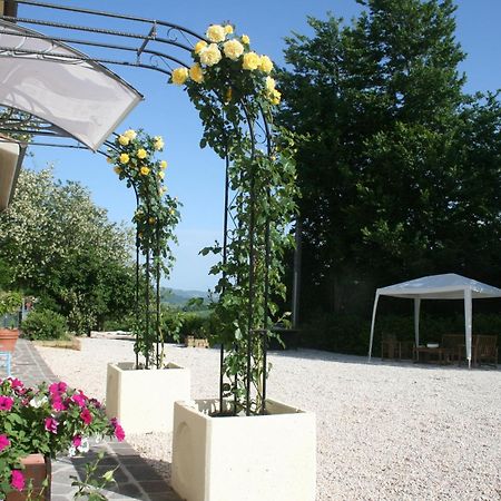 B&B La Fenice 몬테그리돌포 외부 사진